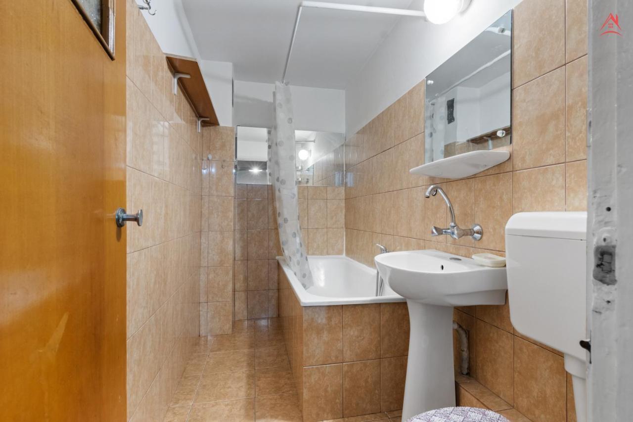 Dristor Large And Cozy Apartment 布加勒斯特 外观 照片