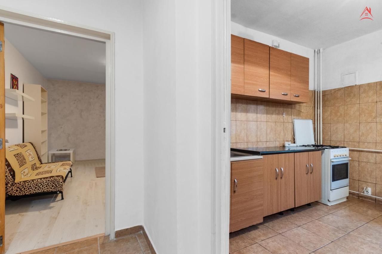 Dristor Large And Cozy Apartment 布加勒斯特 外观 照片